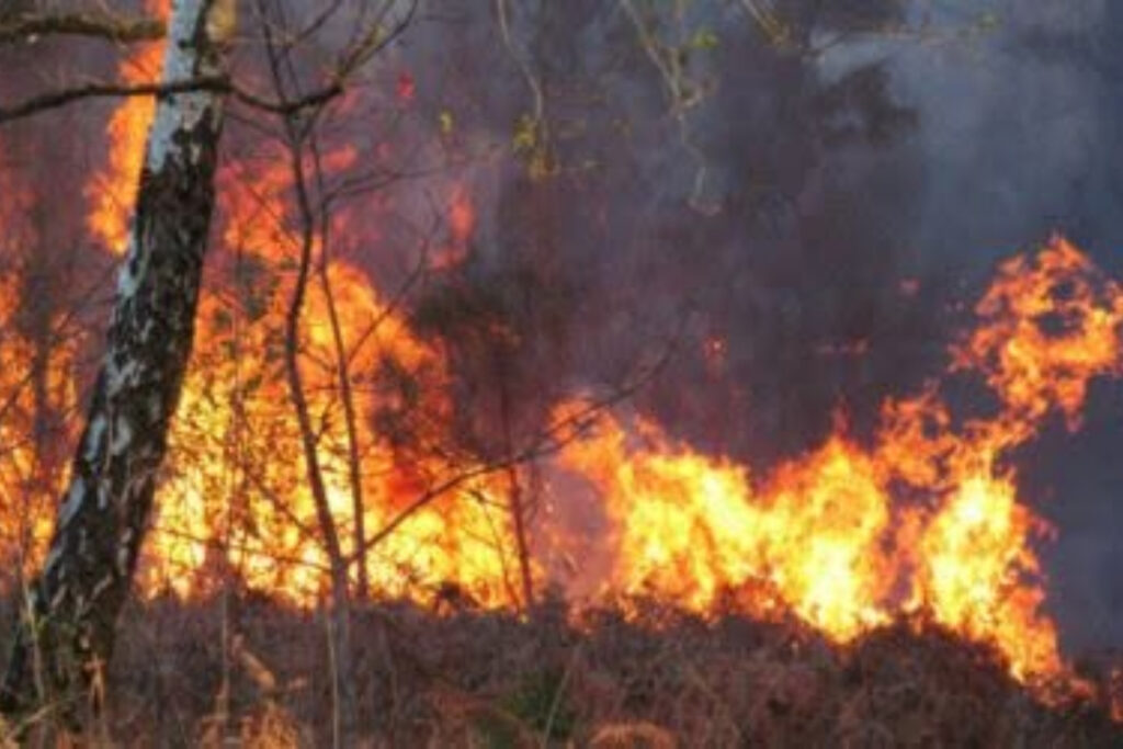 Incendie de Monthermé, dans les Ardennes
