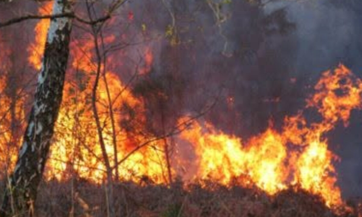 Incendie de Monthermé, dans les Ardennes