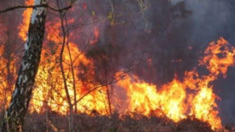 Ardennes : les chasseurs aux côtés des secours face à l’incendie