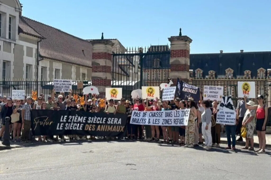 Manif anti-chasse