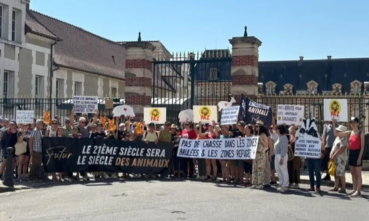Manif anti-chasse