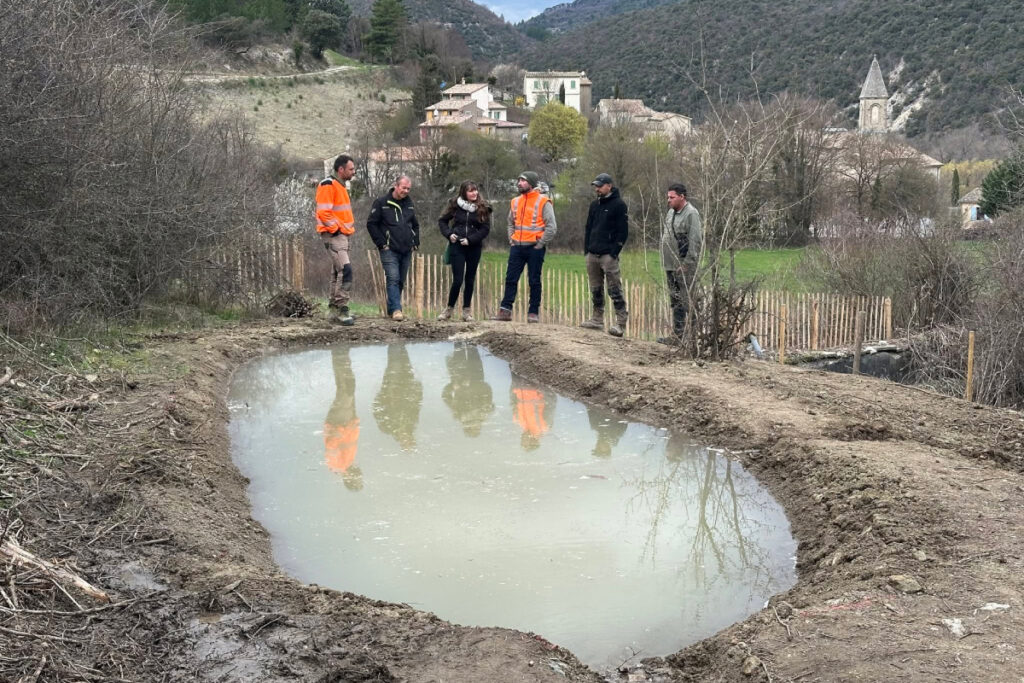 Mare créée par les chasseurs au pied du Mont Ventoux