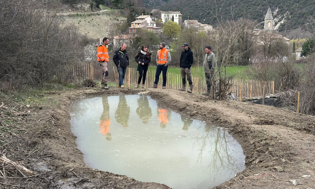 Mare créée par les chasseurs au pied du Mont Ventoux
