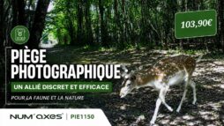 NUM’AXES PIE1150 4G : à 103,90 €, ce piège photo fait-il vraiment le travail ?
