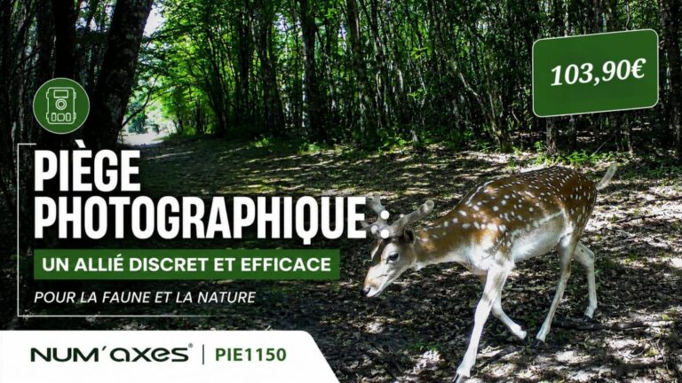 NUM’AXES PIE1150 4G : à 103,90 €, ce piège photo fait-il vraiment le travail ?