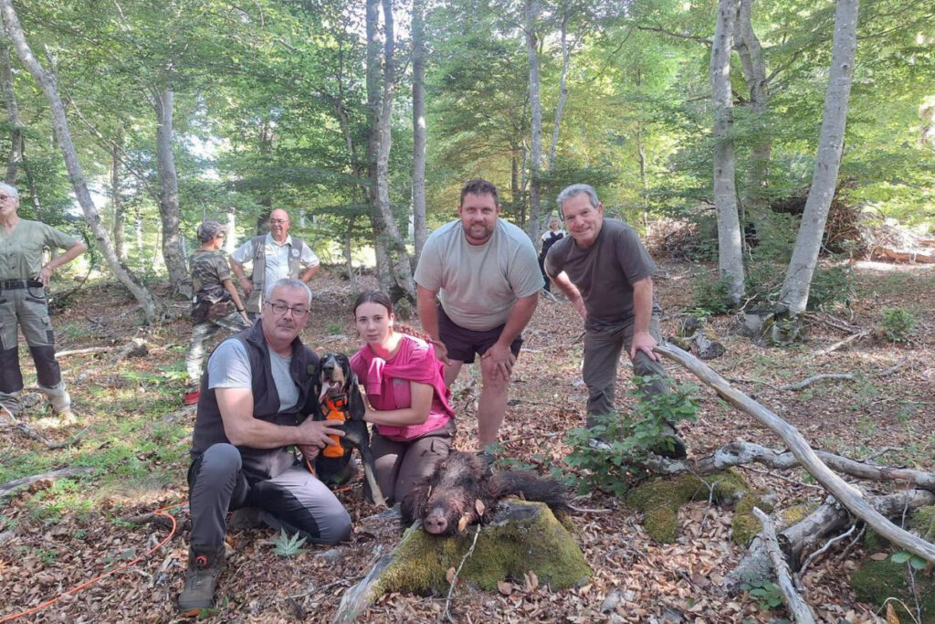 Recherche au sang dans l'Aveyron