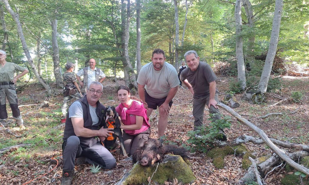 Recherche au sang dans l'Aveyron