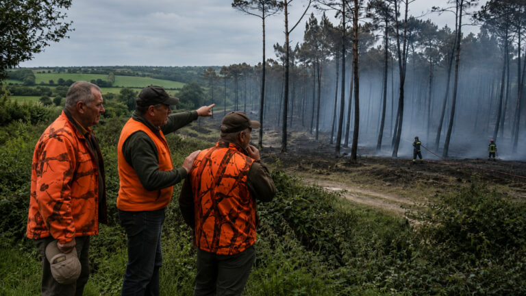 Incendies en Gironde : des chasseurs des Côtes-d’Armor font un don aux sinistrés