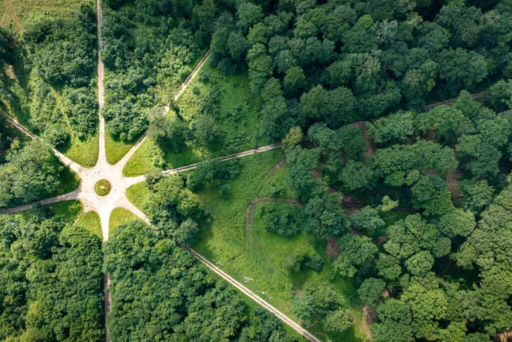 forêt de Retz