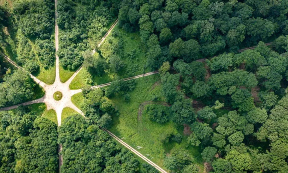 forêt de Retz