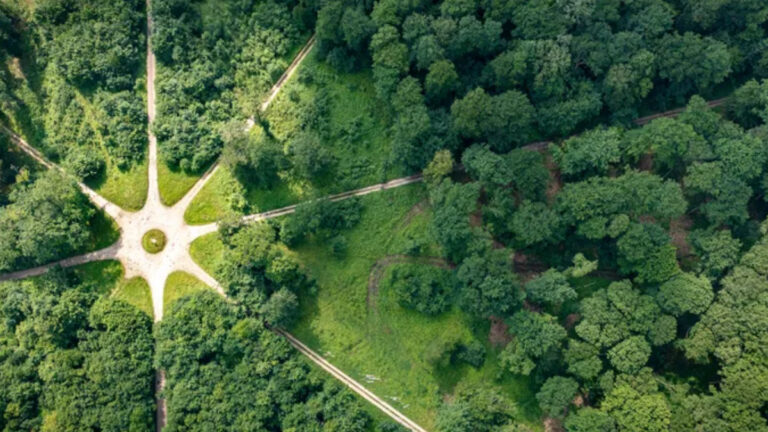 Forêt de Retz : 900 ans d’histoire, la chasse au cœur de son avenir