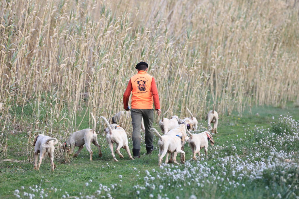 Willy Berdeil et sa meute de chiens.