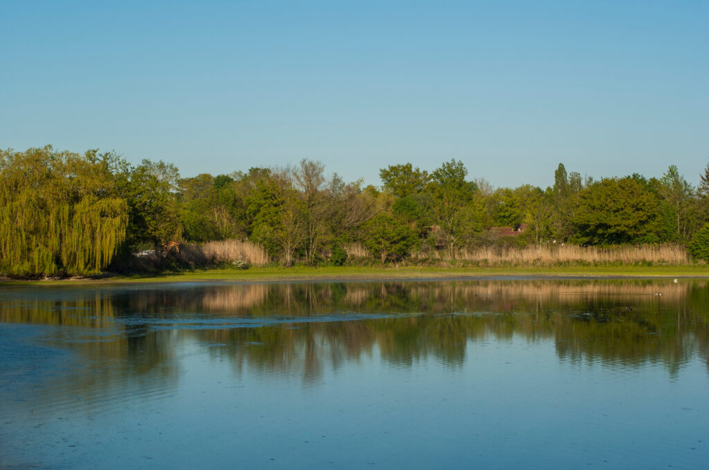 Etang dans les dombes