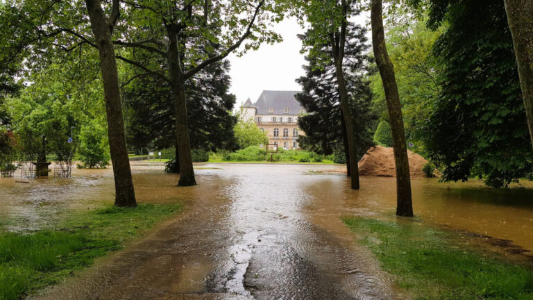 Moselle : les chasseurs au cœur des solutions face au changement climatique