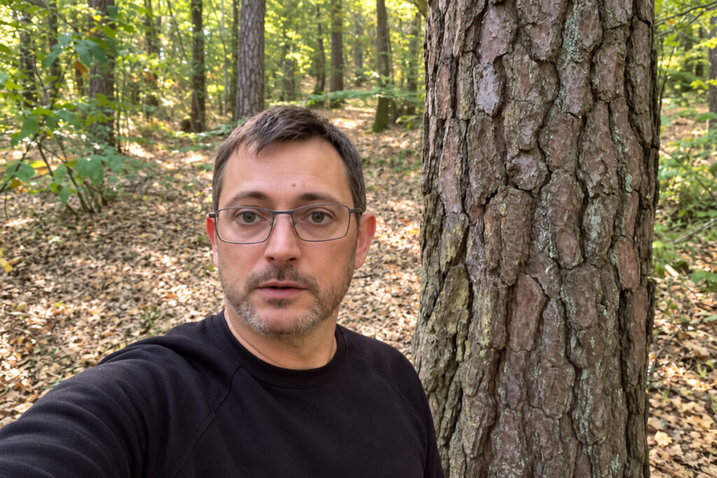 Panda des bois menacé de mort par les anti-chasse