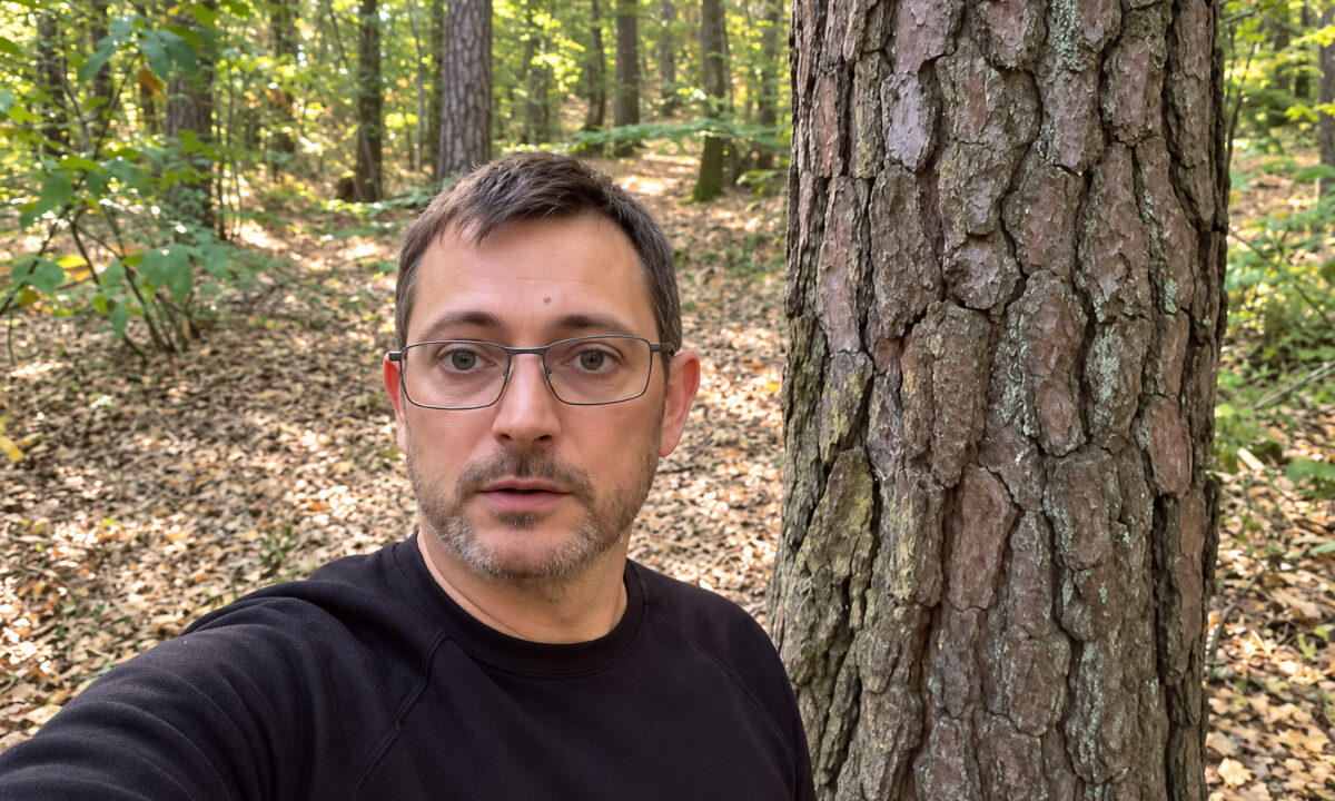 Panda des bois menacé de mort par les anti-chasse