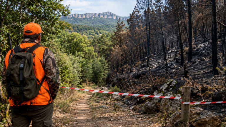 Incendies : 23 départements ont restreint la chasse cet été