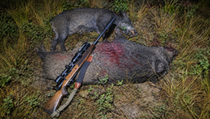 On a testé la carabine Bergara Premier Expedition : elle cache bien son jeu