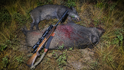 On a testé la carabine Bergara Premier Expedition : elle cache bien son jeu
