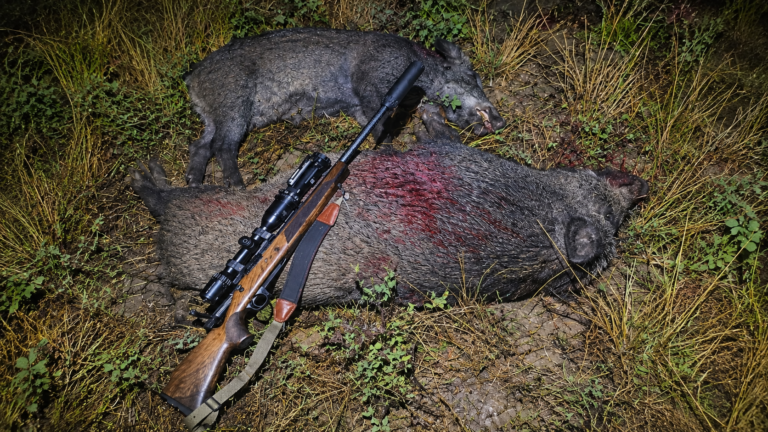 On a testé la carabine Bergara Premier Expedition : elle cache bien son jeu