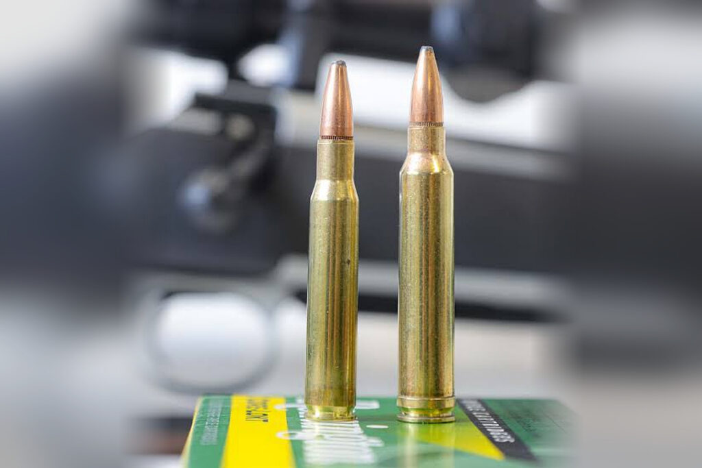 30.06 Sprg VS 300 Win Mag