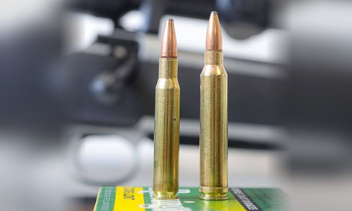 30.06 Sprg VS 300 Win Mag
