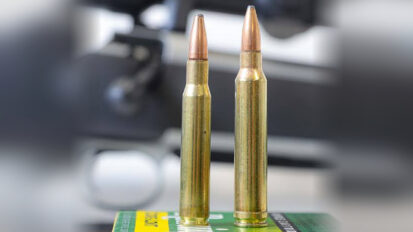 Sanglier en battue : le .300 Win. Mag. fait-il vraiment mieux que le .30-06 ?