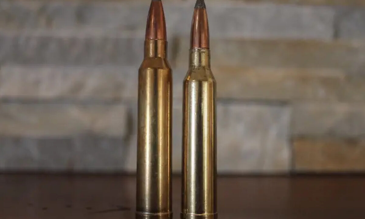 300 Winchester Magnum VS 7 mm Remington Magnum