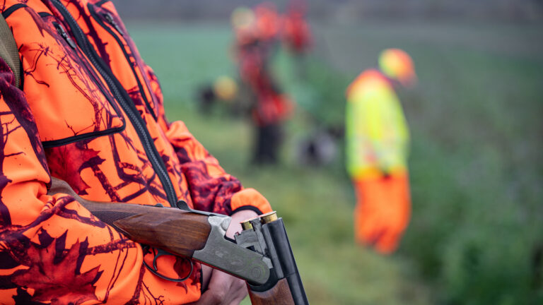 Munitions de chasse : sept ans pour abandonner le plomb, à quel prix ?