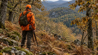 Lozère : un promeneur de 65 ans tué lors d&rsquo;une battue aux sangliers