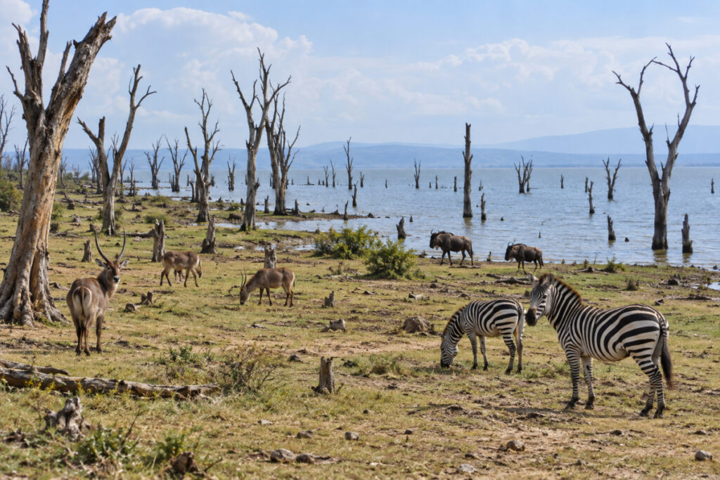 Crescent Island lac Naivasha Kenya
