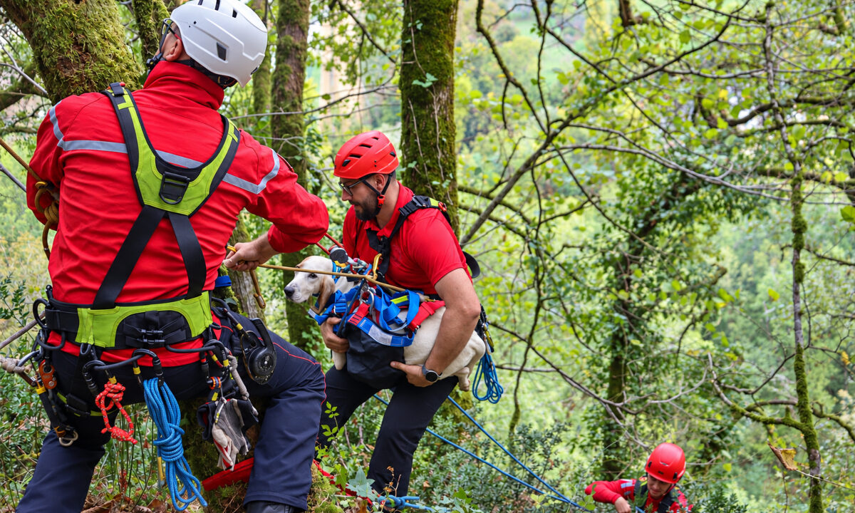 Sauvetage d'un chien porcelaine par les pompiers de Dodogne