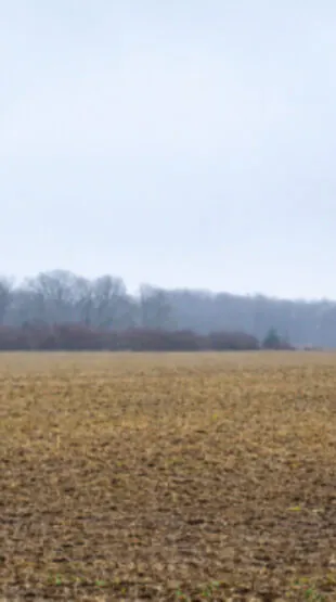 Superbe triplé de sangliers pour ce chasseur du Vexin
