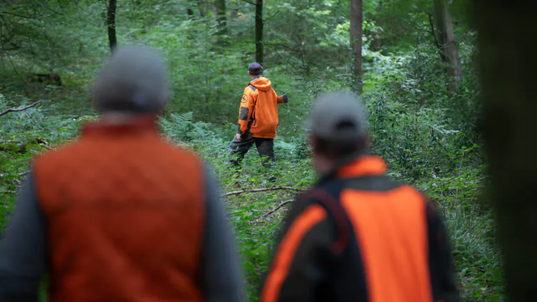 Alcool et chasse : les chiffres de l&rsquo;OFB tordent le cou aux idées reçues