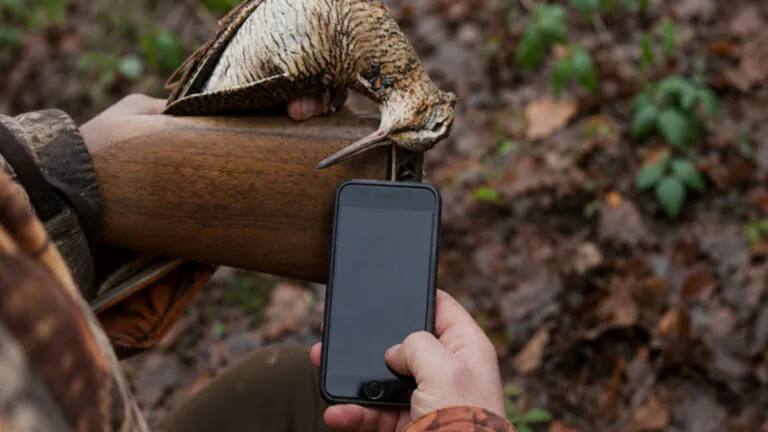 ChassAdapt : la fédération du Calvados aide les chasseurs à franchir le cap