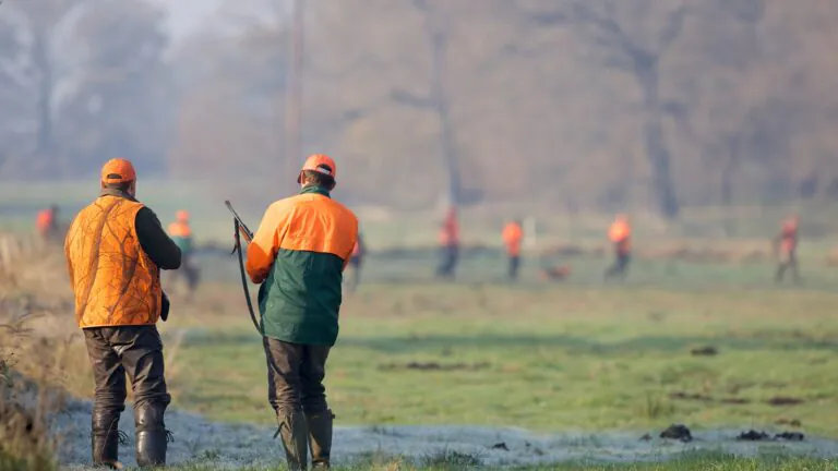 Sécurité à la chasse : seulement quatre décès en 2025-2026, un niveau historiquement bas