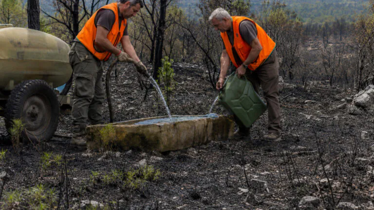 Gard : après l’incendie, les chasseurs de Bezouce au chevet de la faune