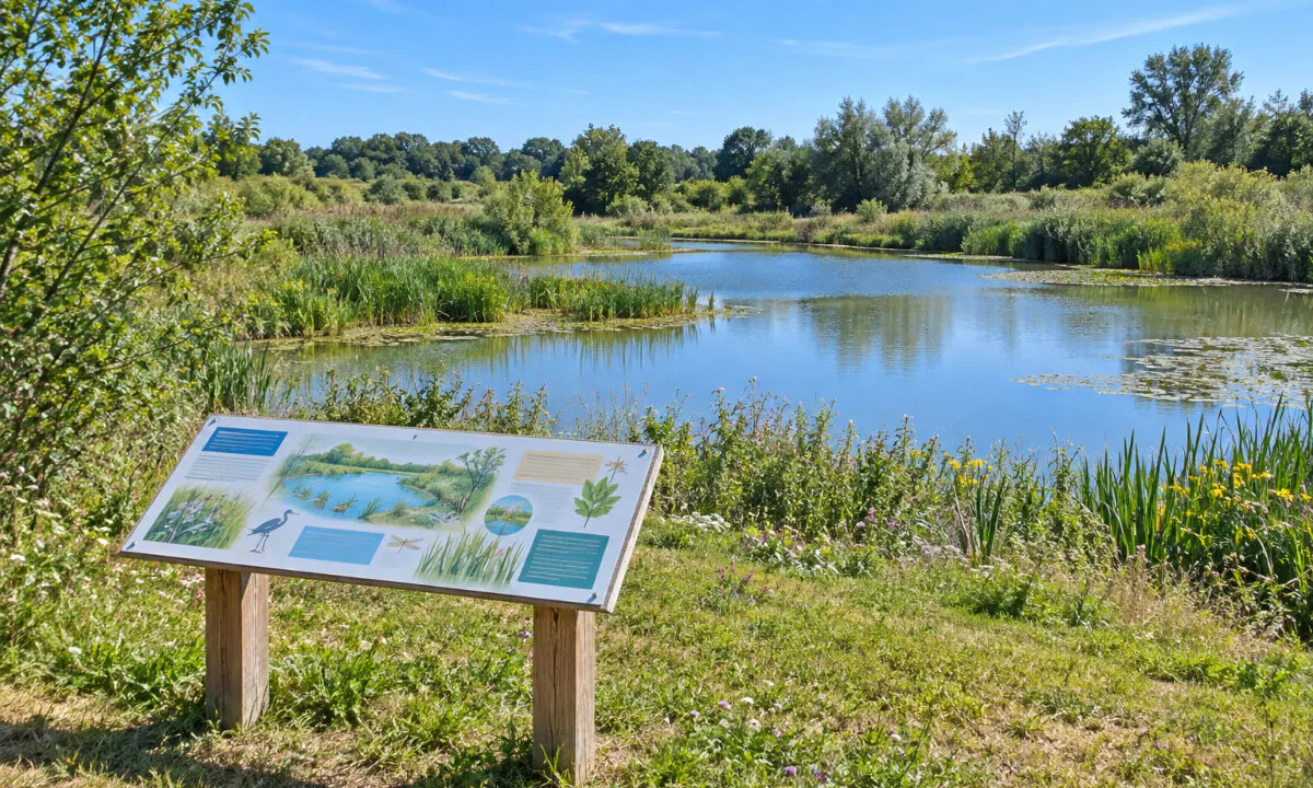 Ecole de biodiversité FDC 77
